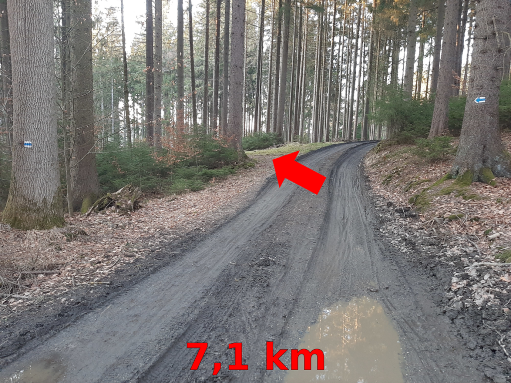 Fotoprůvodce trasy Desítka na Babčáku, fotka 6