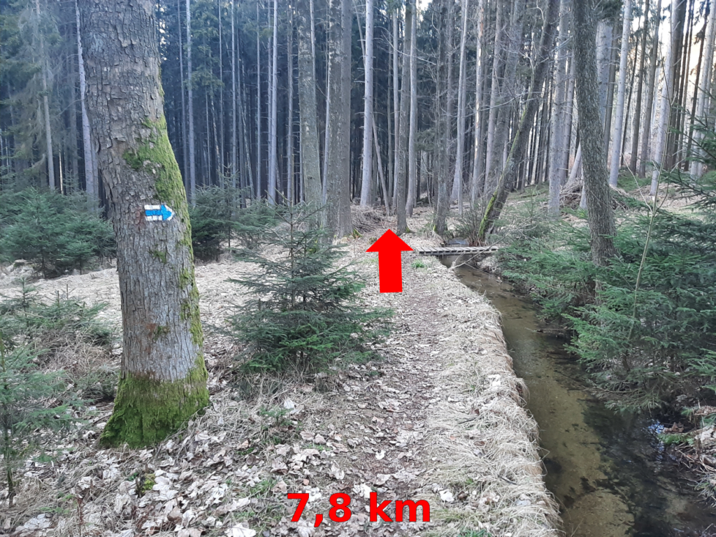 Fotoprůvodce trasy Desítka na Babčáku, fotka 8