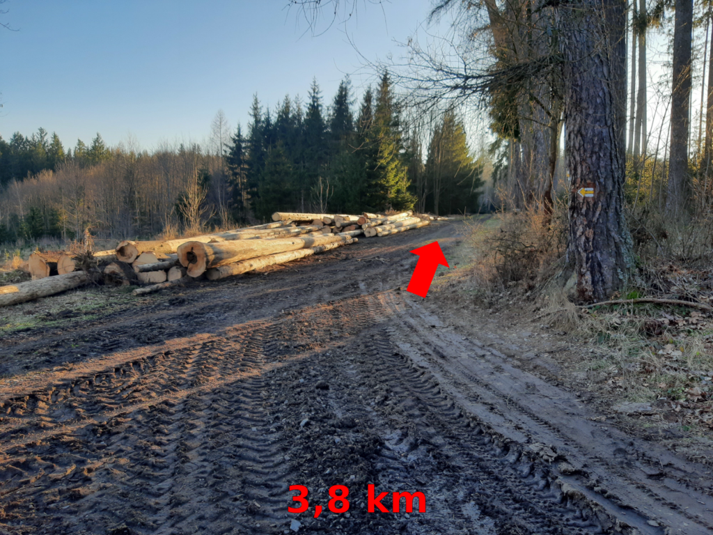 Fotoprůvodce trasy Desítka na Babčáku, fotka 2