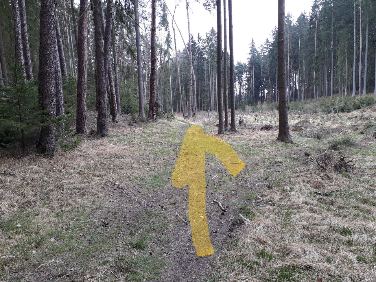 Fotoprůvodce trasy Okolo mohyl, fotka 5