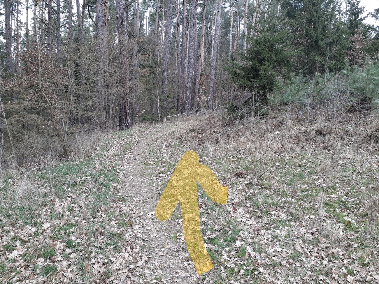Fotoprůvodce trasy Okolo mohyl, fotka 7