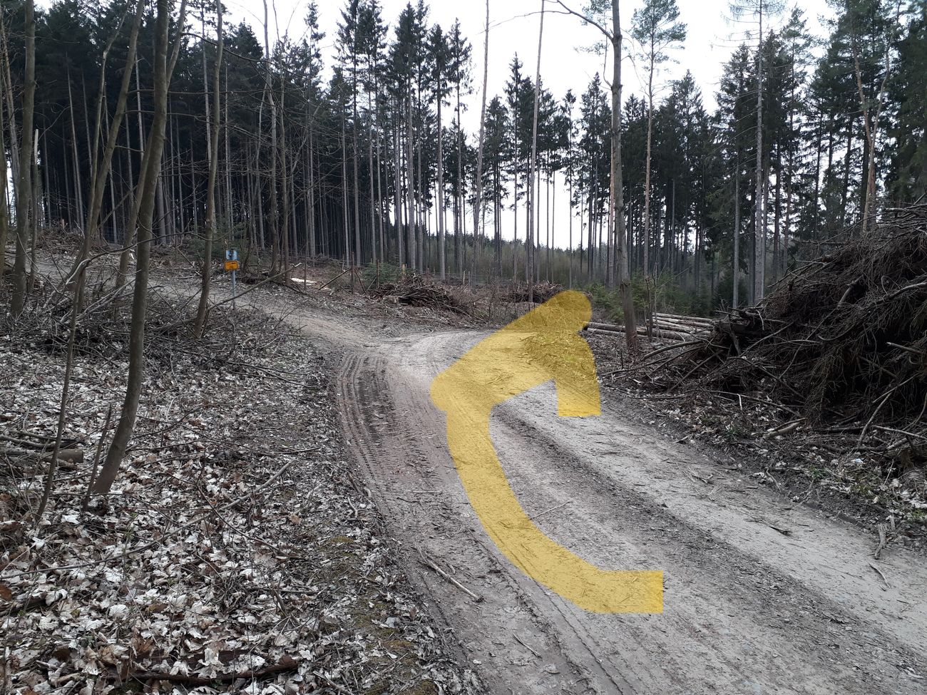 Fotoprůvodce trasy Okolo mohyl, fotka 14