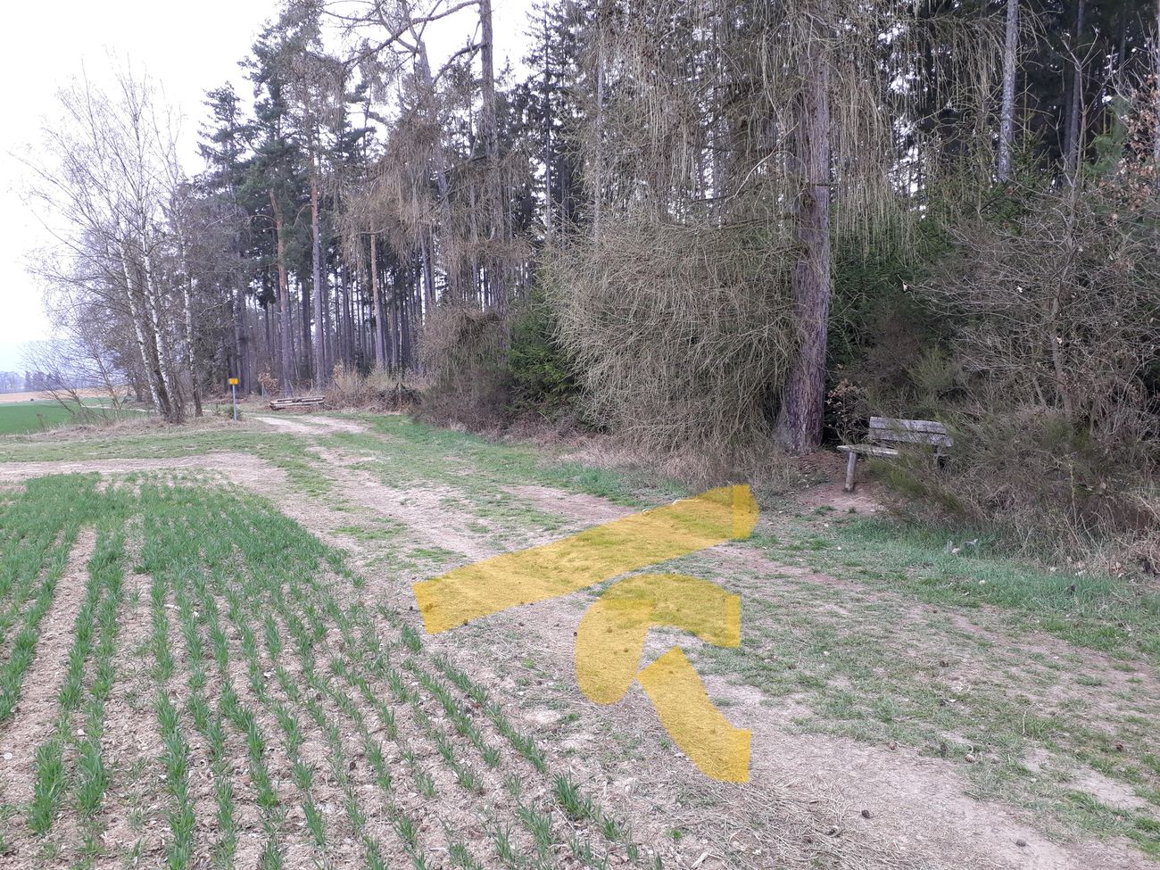 Fotoprůvodce trasy Okolo mohyl, fotka 16