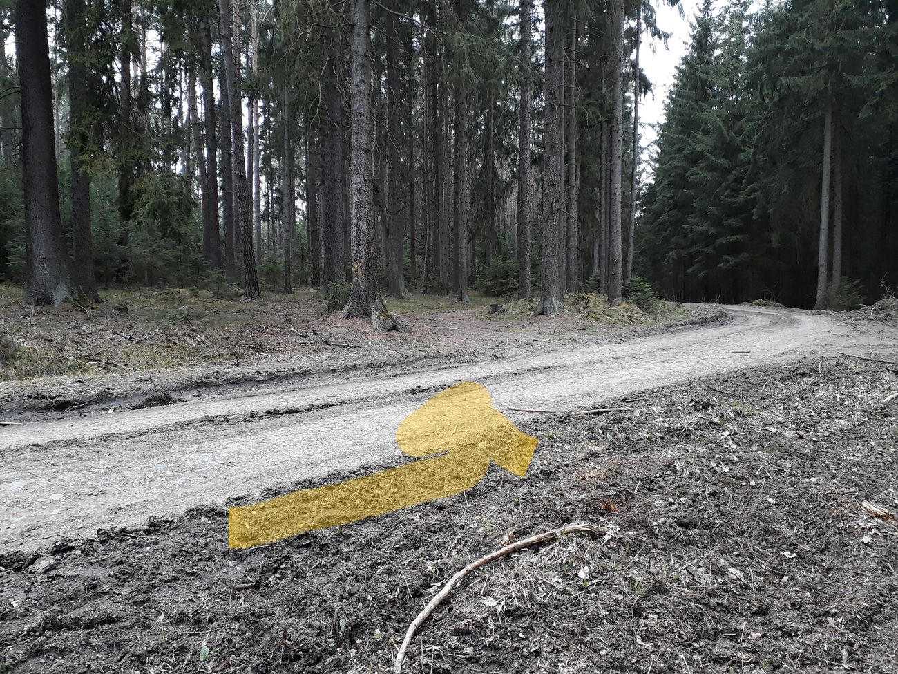 Fotoprůvodce trasy Okolo mohyl, fotka 11