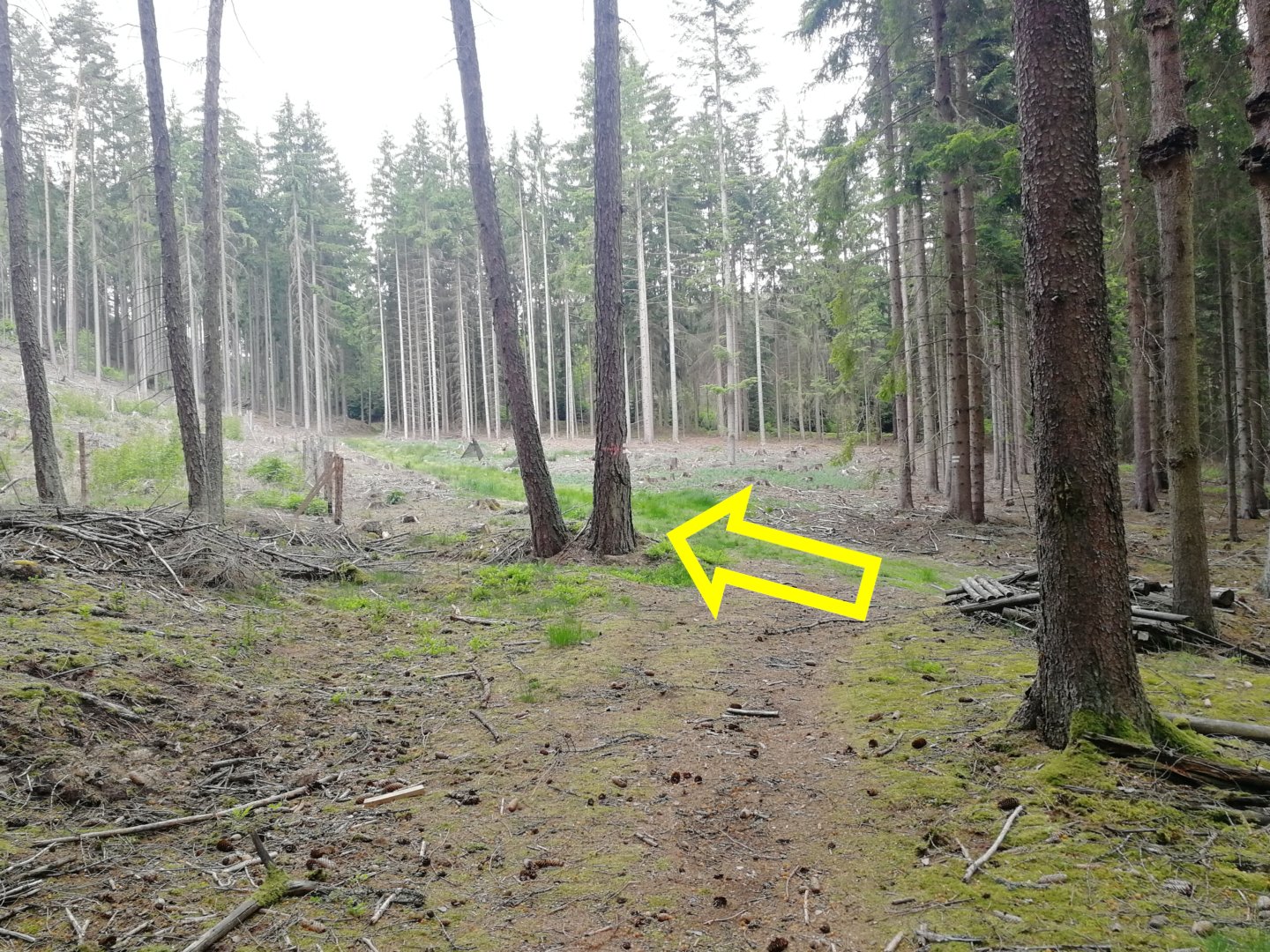 Fotoprůvodce trasy Sedmihorské Céčko, fotka 9