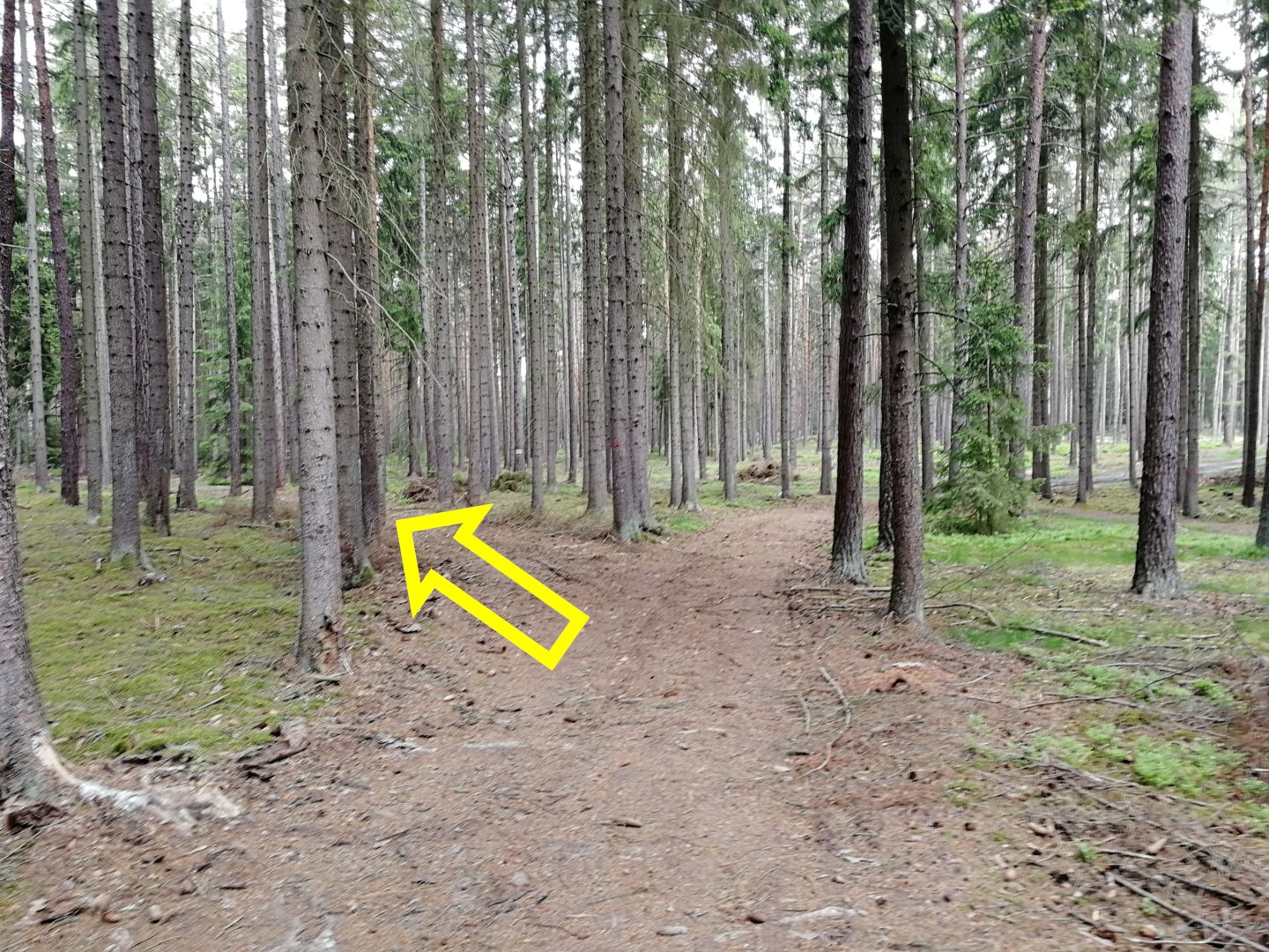 Fotoprůvodce trasy Sedmihorské Céčko, fotka 4