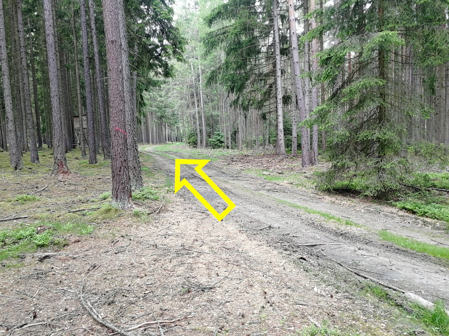 Fotoprůvodce trasy Sedmihorské Céčko, fotka 5