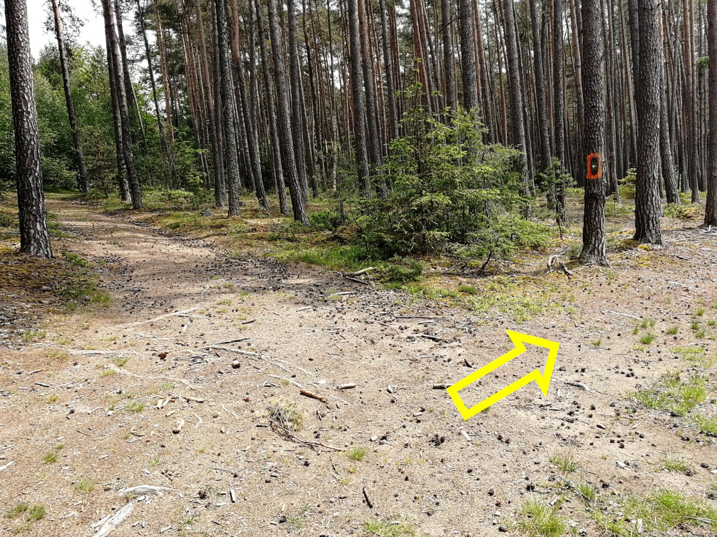 Fotoprůvodce trasy Sedmihorské Céčko, fotka 23