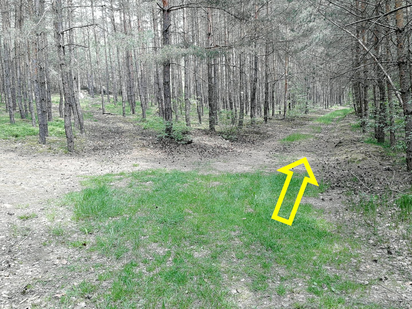 Fotoprůvodce trasy Sedmihorské Céčko, fotka 25
