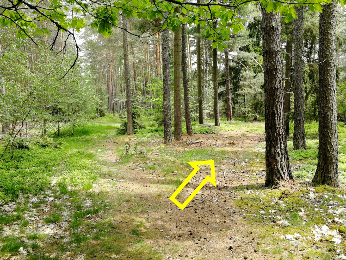Fotoprůvodce trasy Sedmihorské Céčko, fotka 26