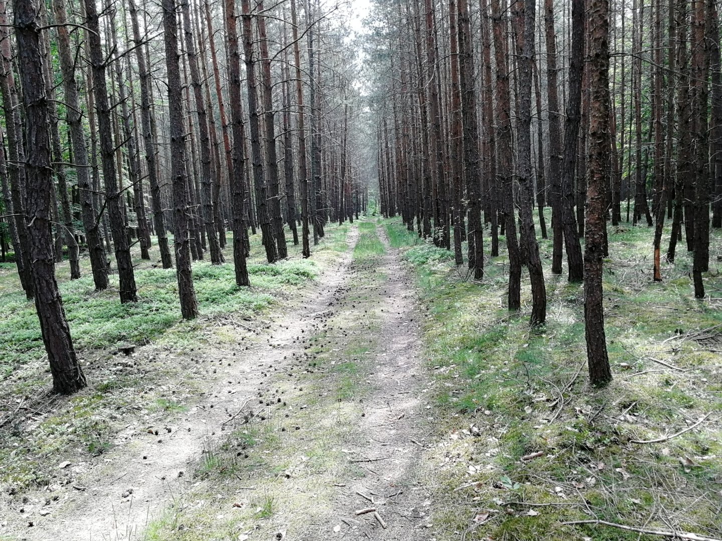 Fotoprůvodce trasy Sedmihorské Céčko, fotka 27