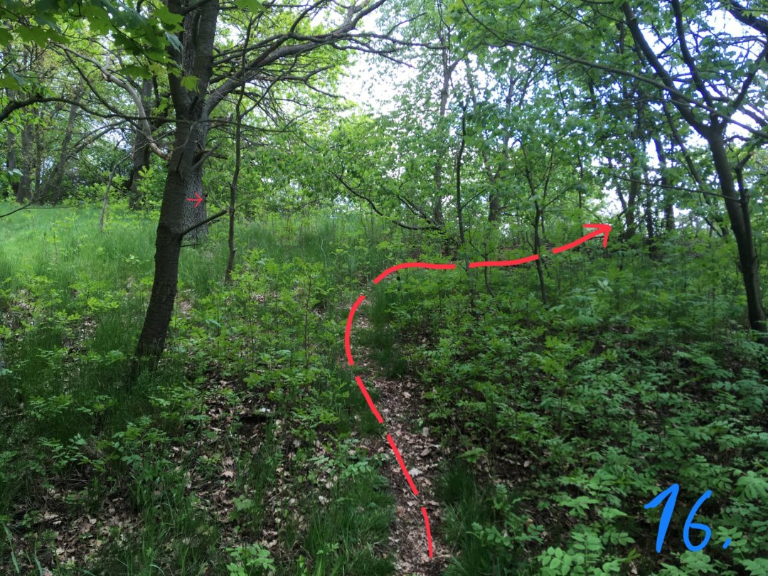 Fotoprůvodce trasy Škarmanská kachna, fotka 16