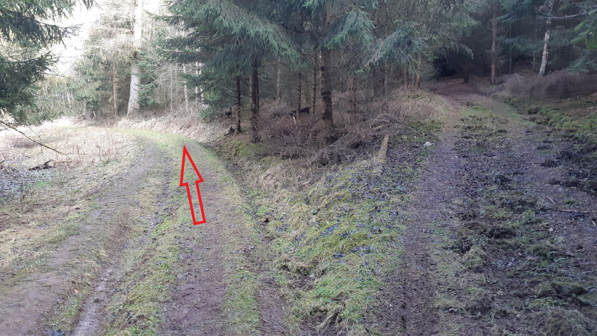 Fotoprůvodce trasy Přes Bezný do Ráje, fotka 5
