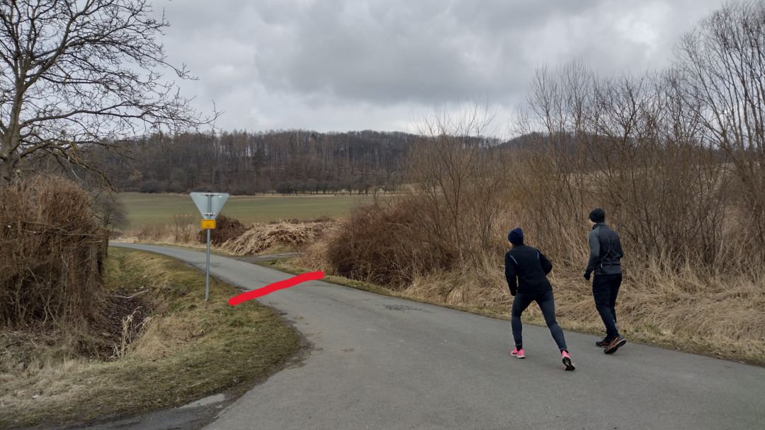 Fotoprůvodce trasy Sedma Památných Stromů, fotka 1