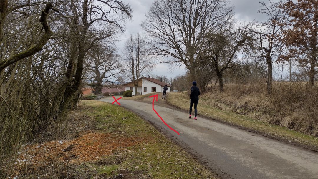 Fotoprůvodce trasy Sedma Památných Stromů, fotka 2
