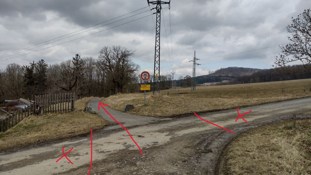 Fotoprůvodce trasy Sedma Památných Stromů, fotka 3