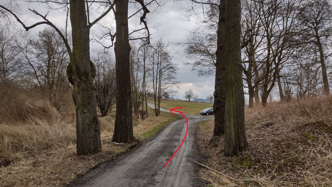 Fotoprůvodce trasy Sedma Památných Stromů, fotka 6