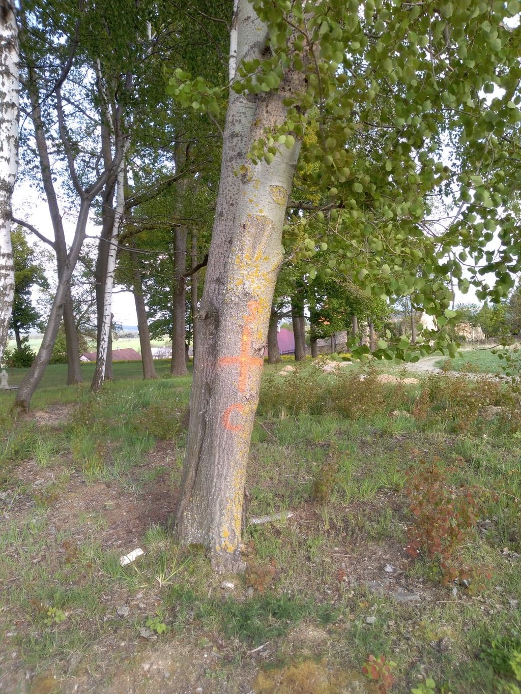 Fotoprůvodce trasy Šitbořský okruh, fotka 1