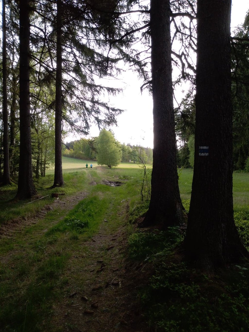 Fotoprůvodce trasy Šitbořský okruh, fotka 6
