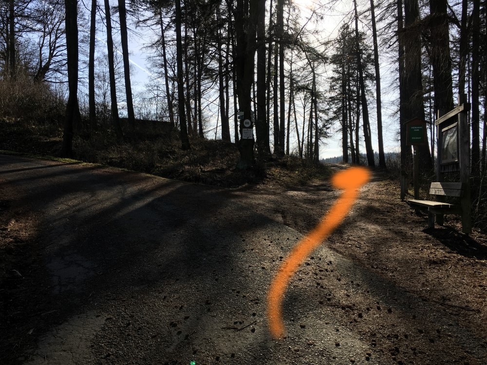 Fotoprůvodce trasy Zelenovská nota, fotka 3