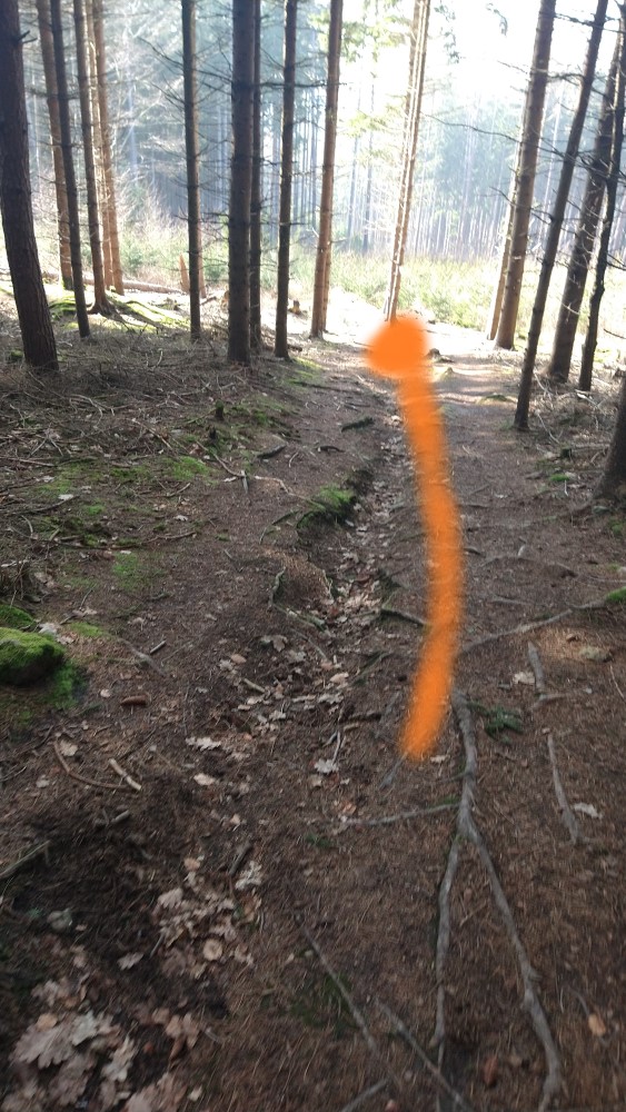 Fotoprůvodce trasy Zelenovská nota, fotka 7