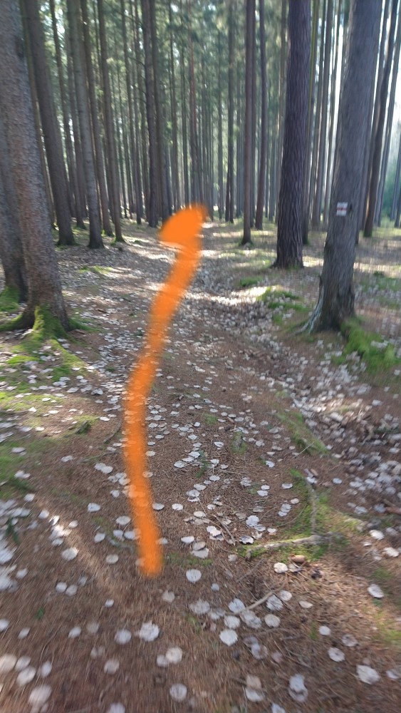 Fotoprůvodce trasy Zelenovská nota, fotka 8