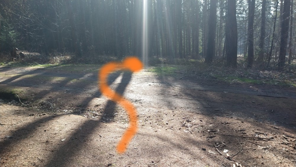 Fotoprůvodce trasy Zelenovská nota, fotka 9